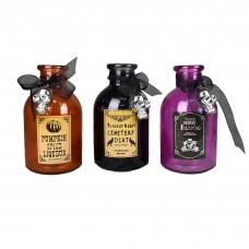The Holiday Aisle Witch Ingredient 3 Piece Decorative Bottle Set THDA6409